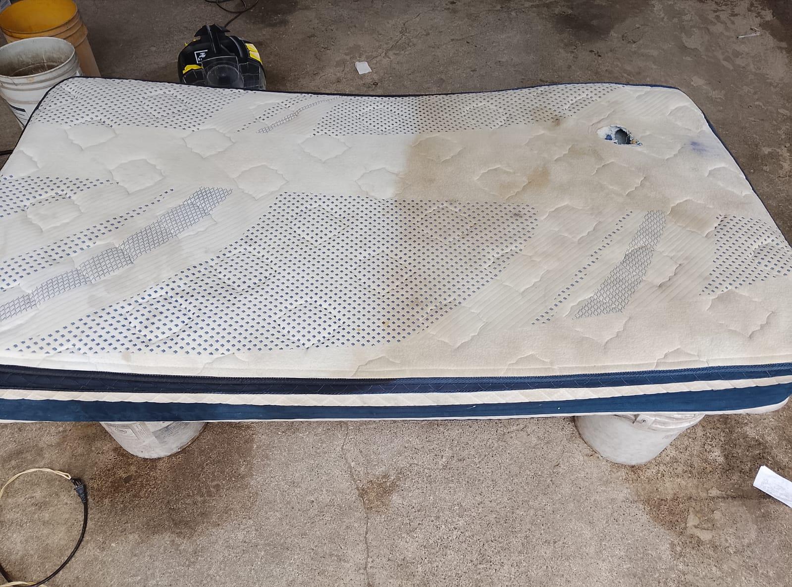 Trabajo de PlaguiControl Clean